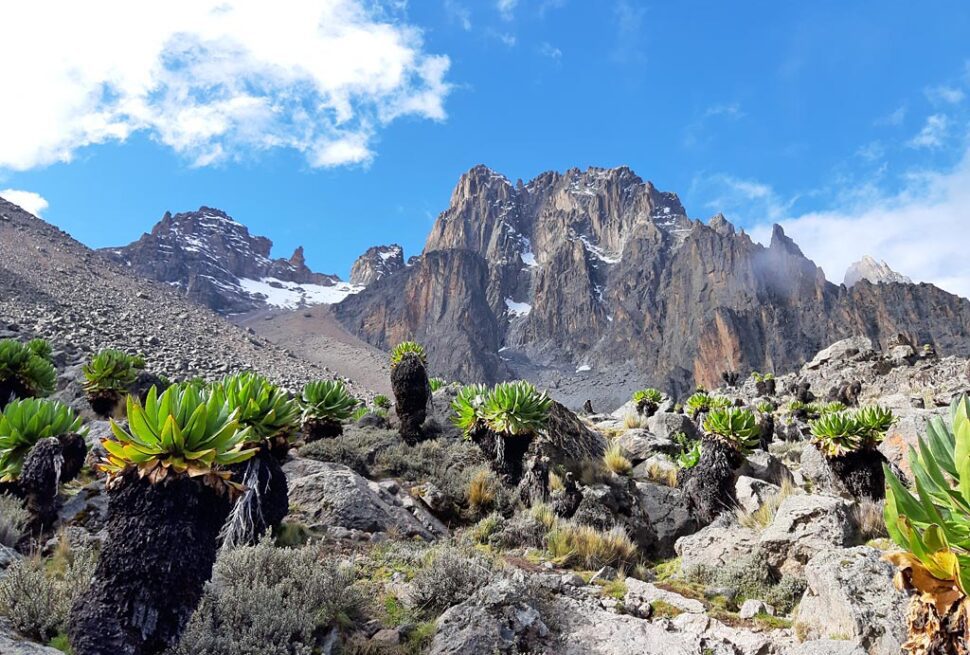 mt kenya peaks climbing Sirimon