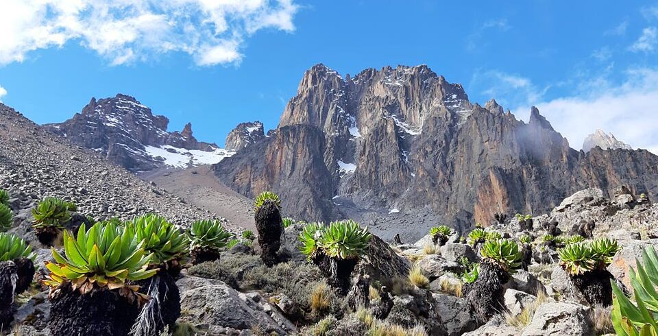 mt kenya peaks climbing Sirimon