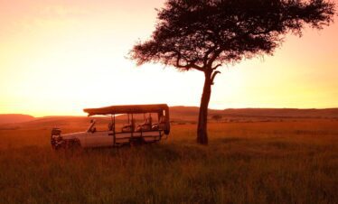 Game drive at masai mara