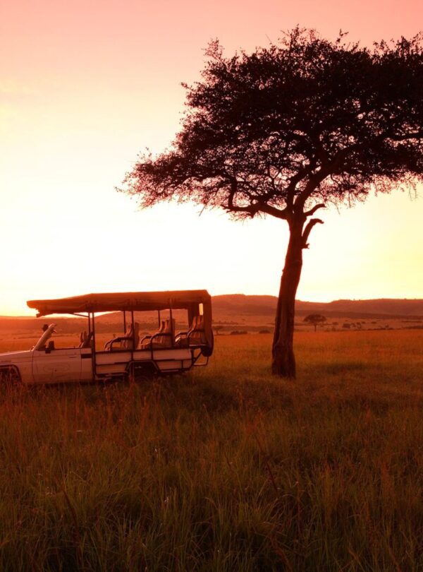 Game drive at masai mara