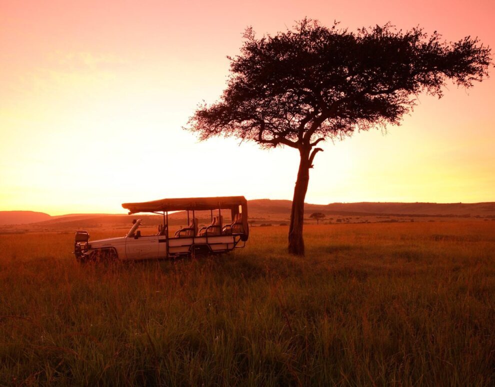 Game drive at masai mara