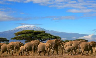 amboseli national park 6 days Amboseli Nakuru Mara
