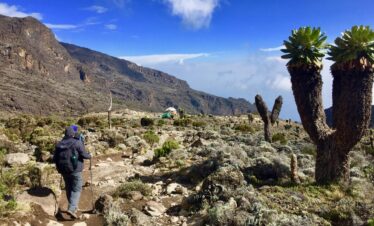 climber on the trail 9 Days Mount Kilimanjaro Machame