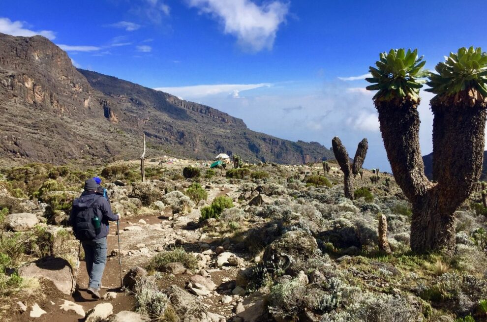 climber on the trail 9 Days Mount Kilimanjaro Machame