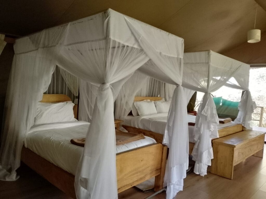7 Days Nakuru Mara safari