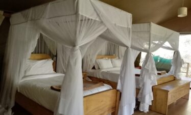 7 Days Nakuru Mara safari