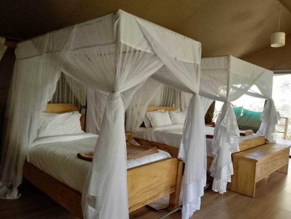 7 Days Nakuru Mara safari