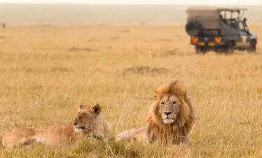 masai mara game drive 4 Days Lake Nakuru Mara