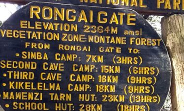 rongai route 8 days mount Kilimanjaro hiking rongai route