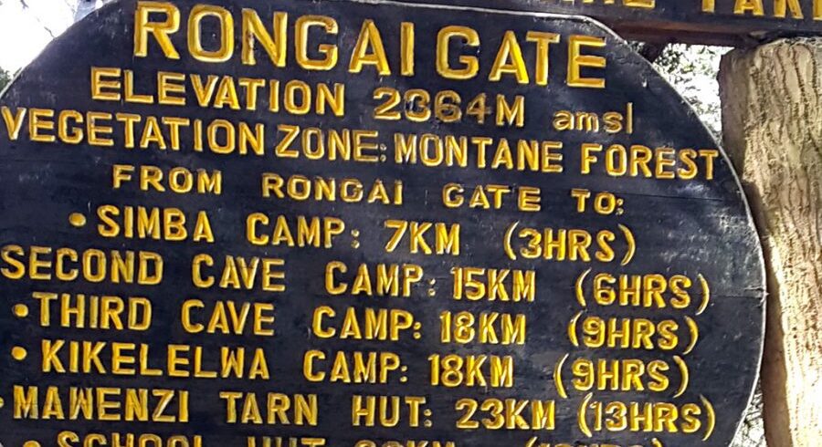 rongai route 8 days mount Kilimanjaro hiking rongai route