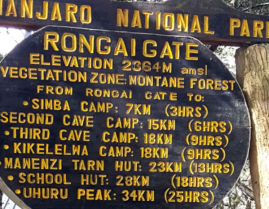 rongai route 8 days mount Kilimanjaro hiking rongai route
