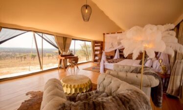 Luxury camps for your accommodation 13 days Kenya Tanzania safari
