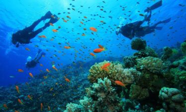 Explore marine life as you snorkel in the ocean 13 days Kenya Tanzania safari