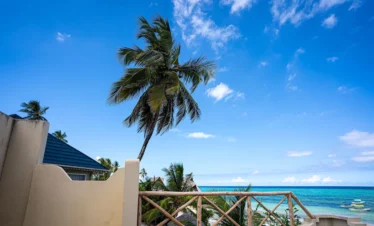 a sea facing hotel balcony and palm tree 5 days Zanzibar holiday low season package