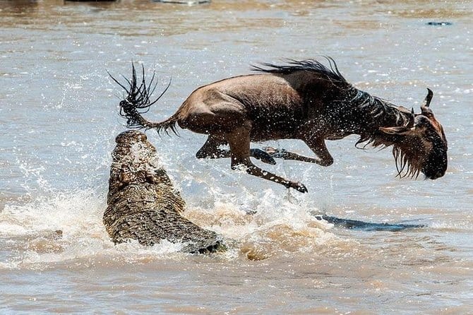 Kenya Tanzania Uganda Safaris 3 Days Masai Mara Luxury High Season
