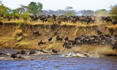 8 days Tanzania Exclusive safari