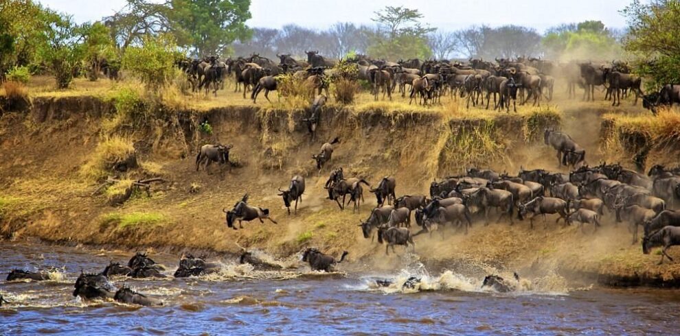 8 days Tanzania Exclusive safari