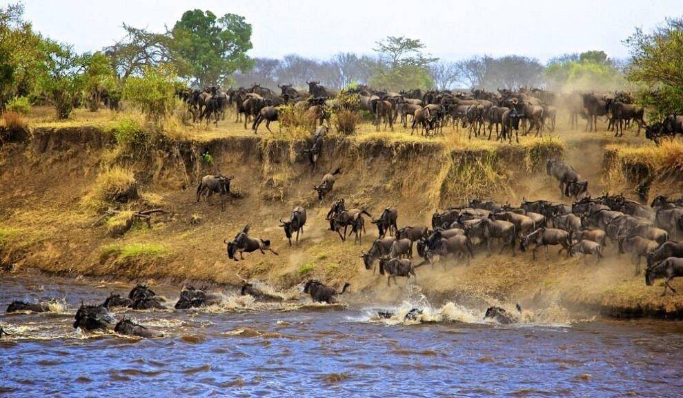 8 days Tanzania Exclusive safari