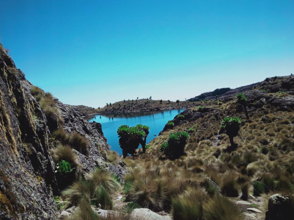 Mount Kenya climbing 3 Days Chogoria route