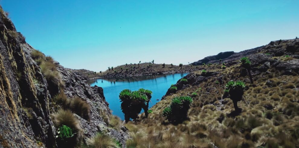 Mount Kenya climbing 3 Days Chogoria route